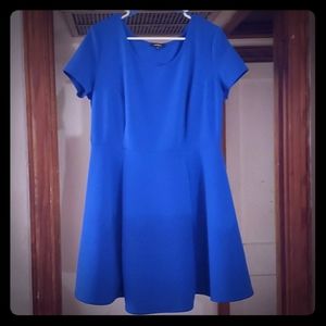 Royal Blue Dress Hits Right Above Knee